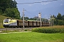 Siemens 20779 - CargoServ "ES 64 U2-080"
20.08.2008 - Wartberg a. d. Krems
Tamás Horváth