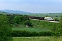 Siemens 20780 - CargoServ "ES 64 U2-081"
23.05.2008 - Ollersbach
Ligeti Gábor