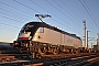 Siemens 20781 - TXL "ES 64 U2-029"
03.10.2011 - St. Valentin
Karl Kepplinger