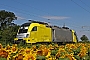 Siemens 20784 - ecco-rail "ES 64 U2-095"
12.07.2014 - Gramatneusiedl
Raimund Wyhnal