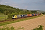 Siemens 20784 - OHE Cargo "ES 64 U2-095"
31.07.2014 - Karlstadt-Gambach
Marcus Schrödter