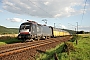 Siemens 20786 - TXL "ES 64 U2-097"
28.07.2009 - Ludwigsau-Mecklar
Patrick Rehn