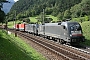 Siemens 20787 - TXL "ES 64 U2-098"
04.08.2011 - Silenen
Helmuth van Lier