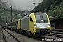 Siemens 20788 - TXL "ES 64 U2-099"
08.08.2007 - Göschenen
Patrice Airoldi