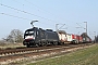 Siemens 20788 - TXL "ES 64 U2-099"
24.03.2012 - Waghäusel
Wolfgang Mauser