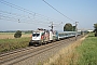 Siemens 20791 - MAV "470 003"
12.09.2016 - Gramatneusiedl
Jürgen Wolfmayr