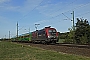 Siemens 20801 - GySEV "470 503"
20.09.2019 - Szőny
Gira Milu