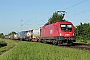 Siemens 20854 - ÖBB "1116 133"
08.05.2018 - Münster bei Dieburg
Kurt Sattig
