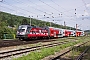 Siemens 20859 - ÖBB "1116 138"
28.06.2012 - Unter Purkersdorf
Christian Knop