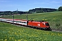 Siemens 20859 - ÖBB "1116 138-7"
07.05.2008 - Köstendorf
Werner Brutzer