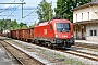 Siemens 20859 - ÖBB "1116 138"
06.08.2025 - Aßling (Oberbayern)Mathias May