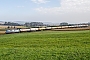 Siemens 20862 - ÖBB "1116 141"
12.10.2014 - Neulengbach
Christian Blumenstein