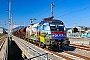 Siemens 20878 - ÖBB "1116 157"
22.08.2023 - Graz
Armin Ademovic