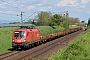 Siemens 20879 - ÖBB "1116 158"
10.05.2015 - Radldorf
Leo Wensauer