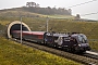 Siemens 20879 - ÖBB "1116 158"
24.11.2016 - Weißenkirchen an der Perschling
Christian Blumenstein