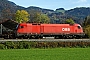 Siemens 20882 - ÖBB "1116 161"
25.10.2013 - Niederaudorf
Jens Bieber