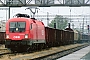 Siemens 20894 - ÖBB "1116 173-4 (I)"
22.05.2008 - Breclav
Leon Schrijvers