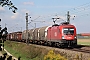 Siemens 20896 - ÖBB "1116 175"
03.09.2019 - Aiterhofen-Amselfing
Leo Wensauer