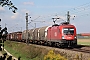 Siemens 20896 - ÖBB "1116 175"
03.09.2019 - Aiterhofen-AmselfingLeo Wensauer