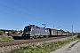 Siemens 20903 - ÖBB "1116 182"
12.10.2018 - Tuntenhausen-Ostermünchen
Mario Lippert