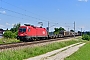 Siemens 20906 - ÖBB "1116 185"
16.06.2018 - Ostermünchen
Marcus Schrödter