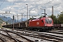 Siemens 20906 - ÖBB "1116 185"
03.08.2019 - Jesenice
Matej Pavlica