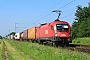 Siemens 20907 - ÖBB "1116 186"
11.06.2021 - Dieburg Ost
Kurt Sattig