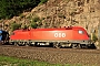 Siemens 20908 - ÖBB "1116 187"
28.05.2017 - Gries am Brenner
Peider Trippi