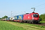 Siemens 20910 - ÖBB "1116 189"
09.05.2018 - Münster bei Dieburg
Kurt Sattig