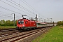 Siemens 20913 - ÖBB "1116 192"
13.04.2022 - Heidelberg-Grenzhof
Wolfgang Mauser
