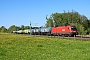 Siemens 20917 - ÖBB "1116 196"
29.04.2026 - VoglMichael Stempfle