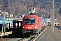 Siemens 20919 - ÖBB "1116 198"
13.03.2017 - Kufstein
Thomas Wohlfarth