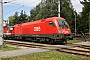 Siemens 20921 - ÖBB "1116 193-2"
20.07.2009 - Gmund Nö
Brian Daniels