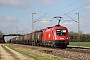 Siemens 20921 - ÖBB "1116 193"
1903.2019 - Straubing-Kay
Leo Wensauer