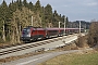 Siemens 20925 - ÖBB "1116 204"
27.01.2018 - Grabenstätt
Michael Umgeher