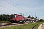 Siemens 20931 - ÖBB "1116 210"
18.07.2022 - Kirchseeon-Eglharting
Tobias Schmidt