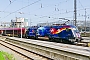 Siemens 20933 - ÖBB "1116 212"
11.04.2024 - München, Hauptbahnhof
Manfred Knappe