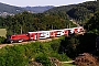 Siemens 20934 - ÖBB "1116 213"
01.09.2009 - Unter-Oberndorf
Gál András