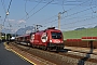 Siemens 20946 - ÖBB "1116 225"
24.07.2019 - Kundl
Mario Lippert