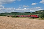 Siemens 20950 - ÖBB "1116 229"
31.07.2013 - Szárliget
Minyó Anzelm