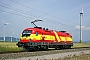 Siemens 20953 - ÖBB "1116 232-8"
19.06.2008 - Pama - Kittsee
Juraj Streber