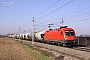 Siemens 20954 - ÖBB "1116 233-6"
08.04.2010 - Gunskirchen
Martin Radner