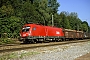 Siemens 20954 - ÖBB "1116 233-6"
01.09.2005 - Aßling (Oberbayern)
Hansjörg Brutzer