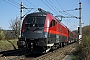 Siemens 20957 - ÖBB "1116 236"
30.03.2014 - Payerbach
Werner Weinhandl