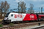Siemens 20958 - ÖBB "1116 237"
09.04.2026 - FreilassingWerner Früchtl