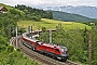 Siemens 20959 - ÖBB "1116 238"
16.06.2016 - Küb
Lukas Jirku