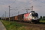 Siemens 20967 - ÖBB "1116 246"
30.06.2009 - Ebenfurth
Gál András