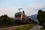 Siemens 20971 - ÖBB "1116 250"
28.06.2013 - Prien
Marcus Schrödter