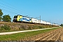 Siemens 20983 - Lokomotion "ES 64 F4-012"
08.10.2019 - Grisignano di Zocco
Riccardo Fogagnolo