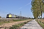 Siemens 20991 - InRail "ES 64 F4-015"
25.09.2015 - Romano di Lombardia
Alessandro Destasi